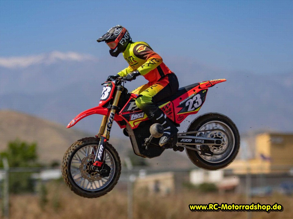LOS06000T1: LOSI Promoto-MX 1/4 RTR, FXR rot LOS06000T1